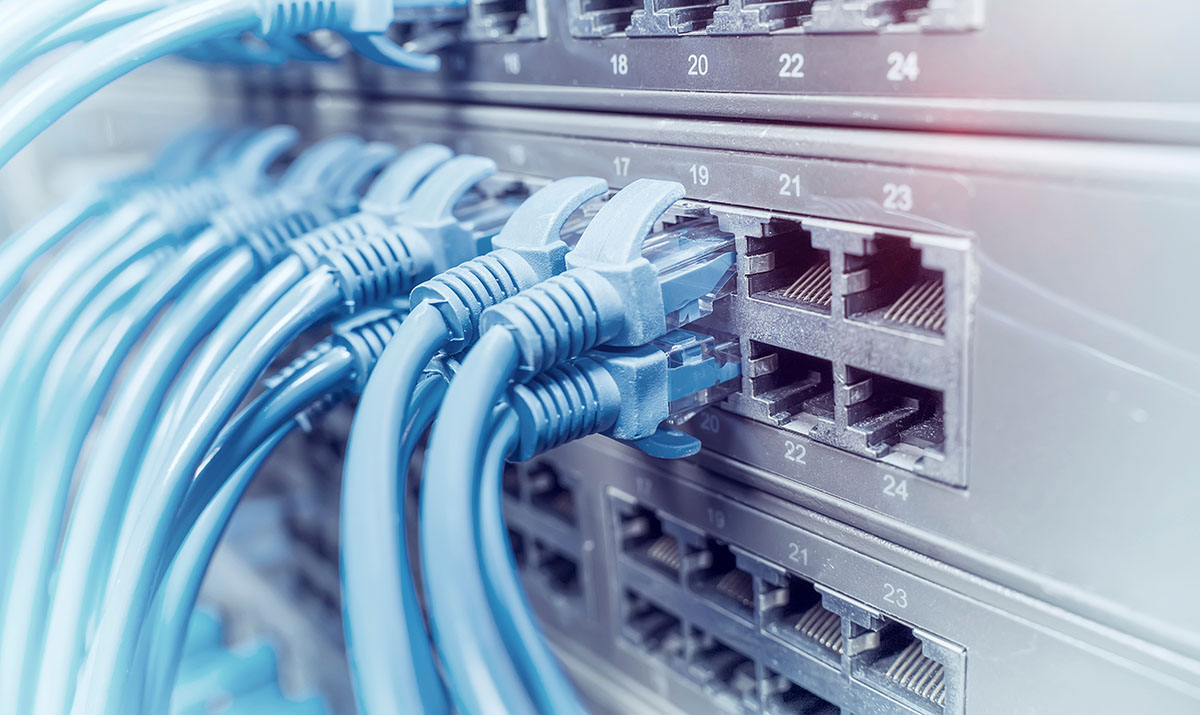 Pale blue Ethernet cables connected to numbered network ports